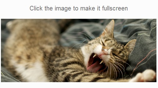 screenfull.js